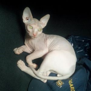 Meet your Posher, Danielle